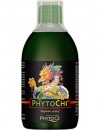 Phytochi energie z bylin